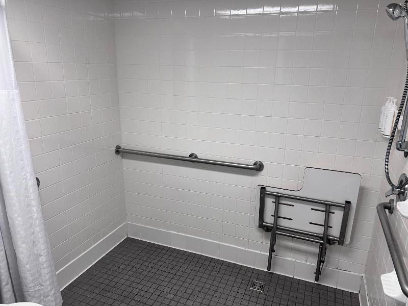 King Room with Roll-In Shower - Mobility Access/Non-Smoking image 4