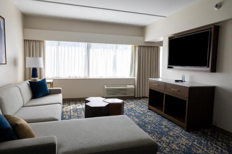 Premium Junior King Suite image 3