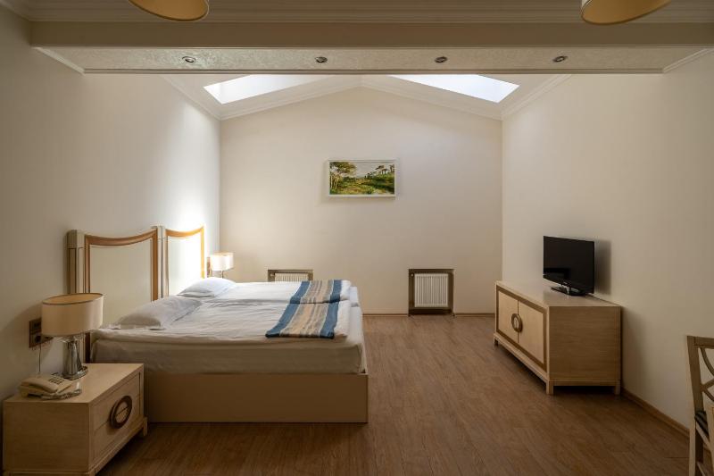 One-bedroom Loft Apartment  image 1