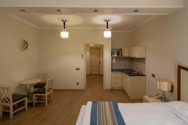 One-bedroom Loft Apartment  image 2