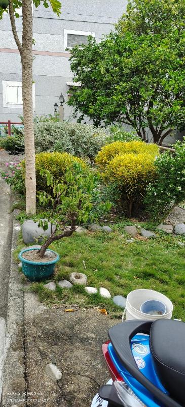 Chentien Changkuang Homestay - image 9