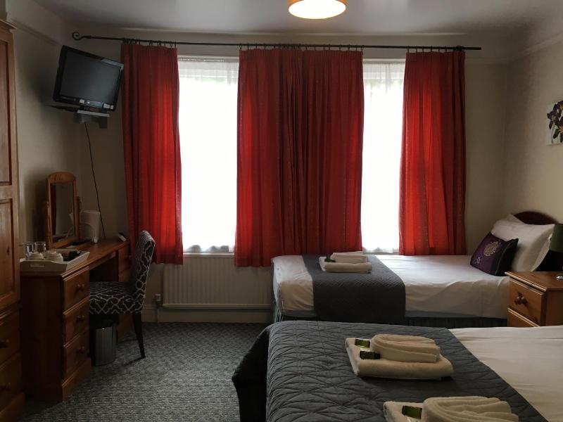 Standard Family Room image 4