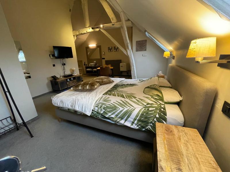 King Room with Spa Bath image 1