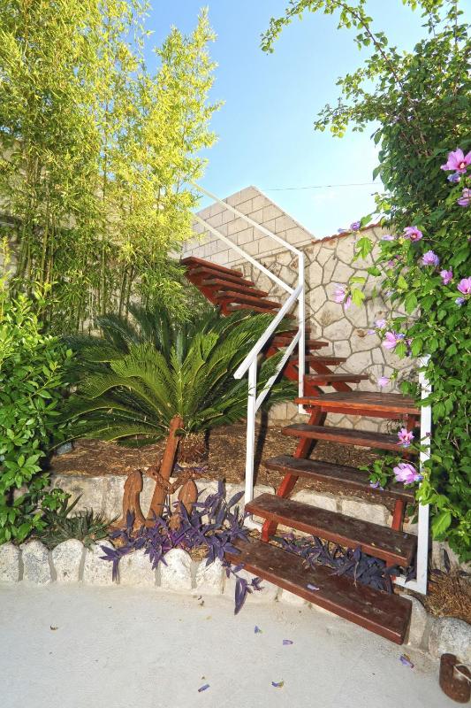 Apartment with Terrace image 4