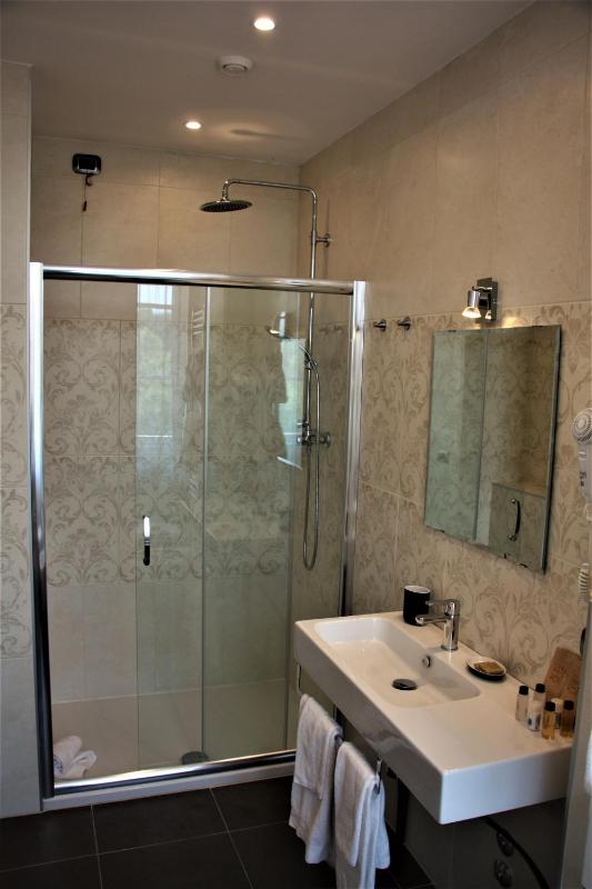 Superior Double or Twin Room image 2