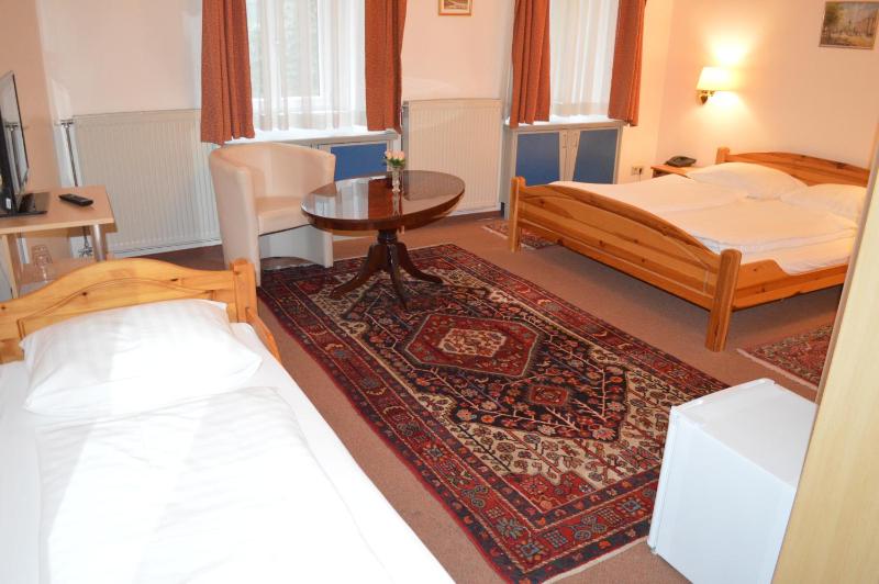 Hotel Pension Walzerstadt - image 13