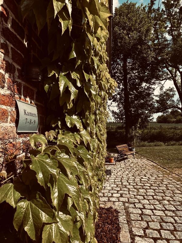 King Room with Spa Bath image 2