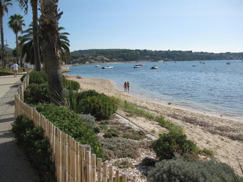 Les lantanas - image 12