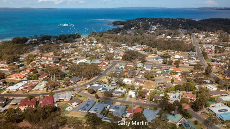 Salty Marlin - image 22