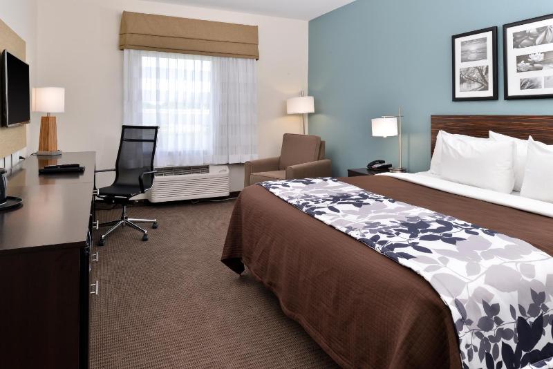 King Room - Non-Smoking image 1