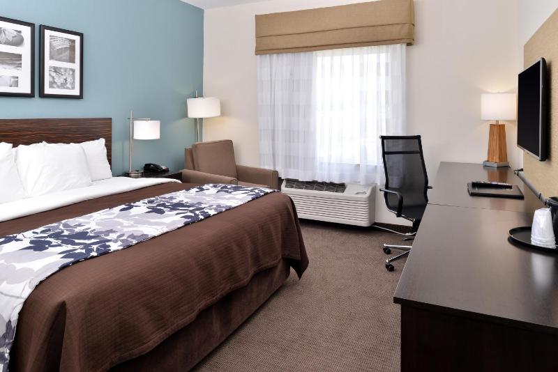 King Room - Non-Smoking image 3