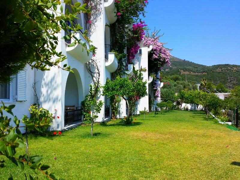 Spiros Studios - image 7