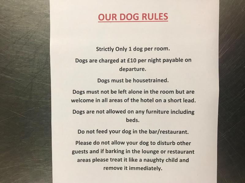 Small Twin Room- Ground floor - Dog Friendly  image 3