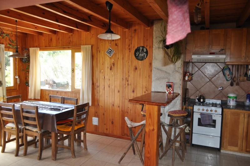 Melodia natural en San Martín de los Andes - image 18