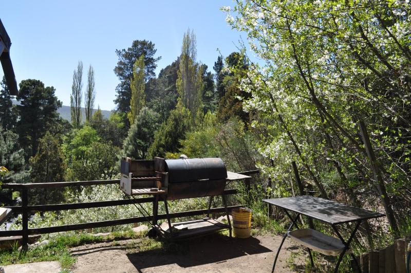 Melodia natural en San Martín de los Andes - image 39