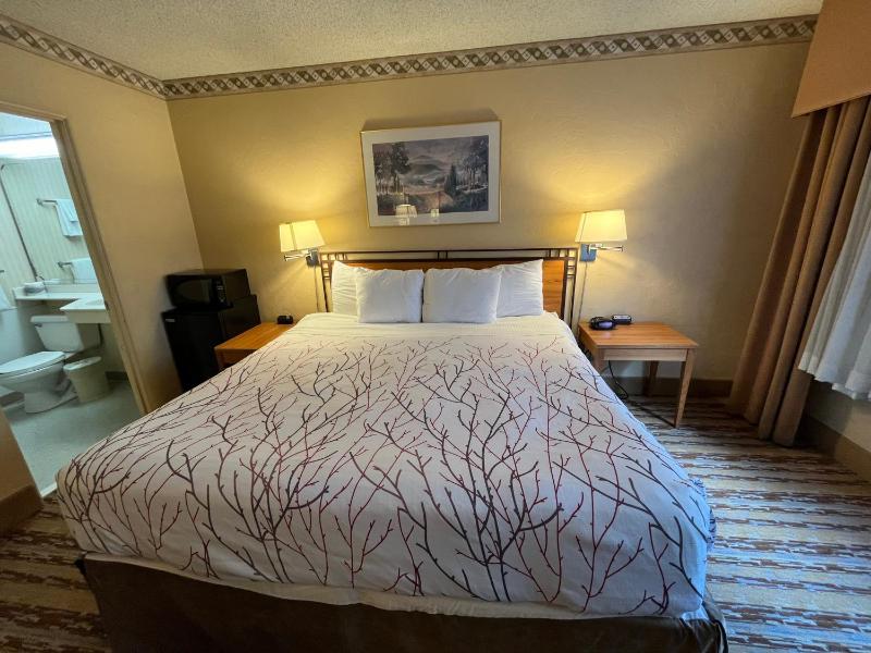Travelodge by Wyndham Seattle By The Space Needle - image 3