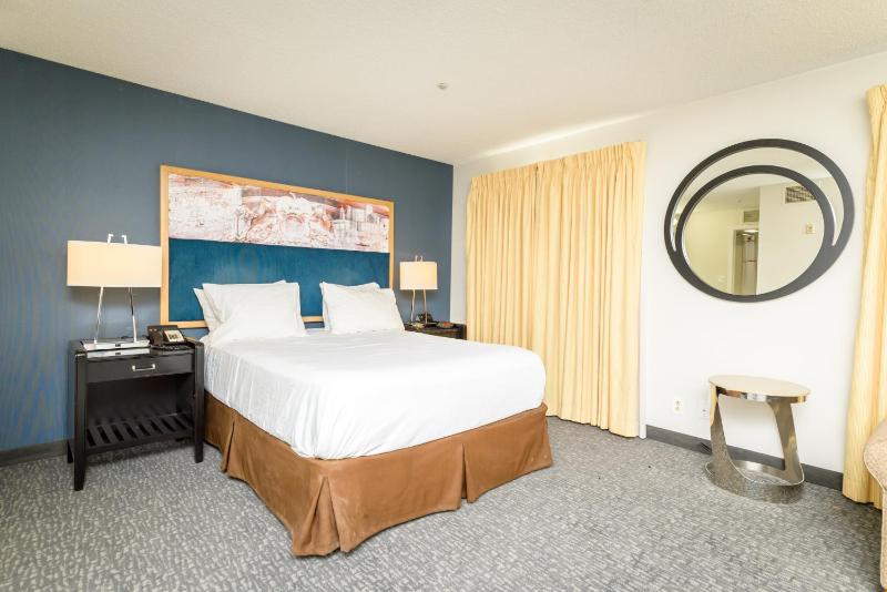 Deluxe Queen Suite image 1