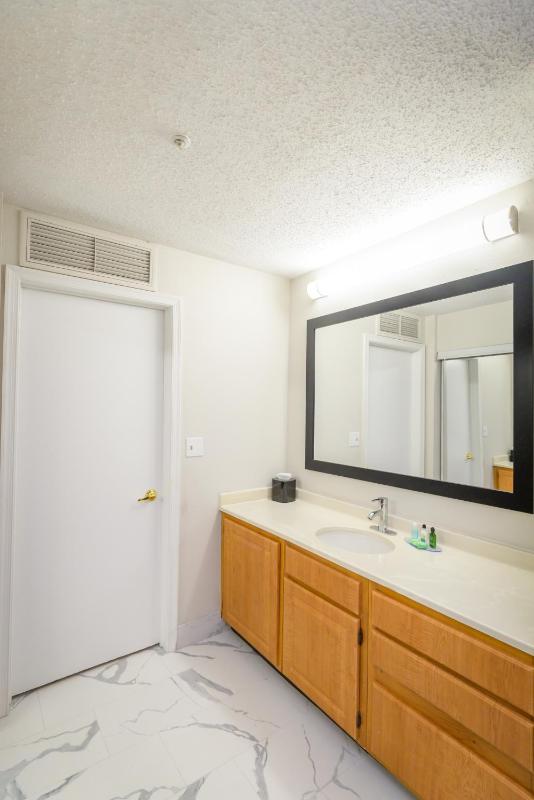 Deluxe Queen Suite image 2