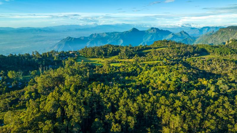 ama Stays & Trails Sneh Villa  Kodaikanal - image 17