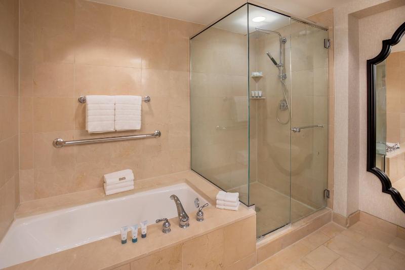 1 Bedroom Studio Suite, 1 King, Sofa bed, City view image 4
