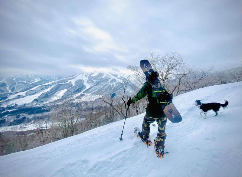 Winterfell Hakuba - image 13