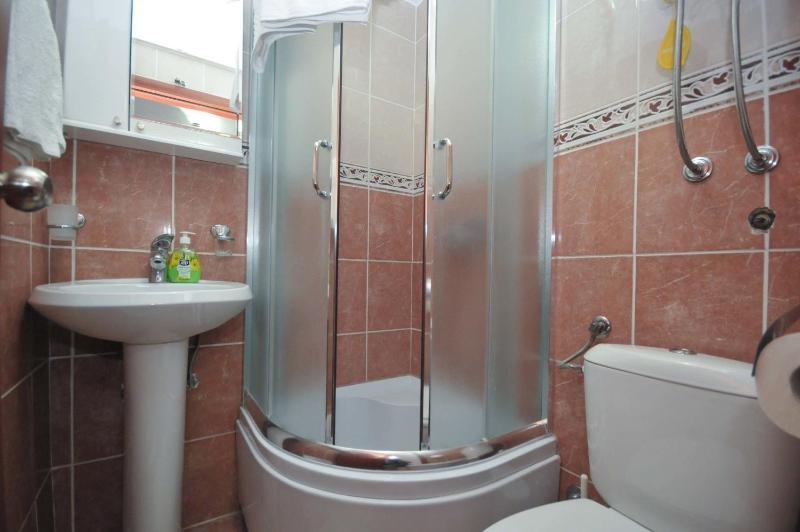 One-Bedroom Apartment with Balcony image 4