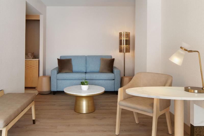 King Studio Suite  image 1