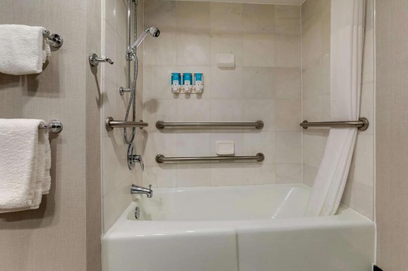 Deluxe King Room - Accessible, Tub image 2