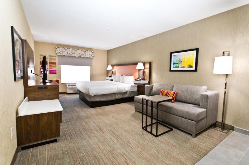 King Studio Suite with Sofa Bed - Non-Smoking image 2