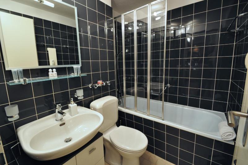 One-Bedroom Apartment image 4