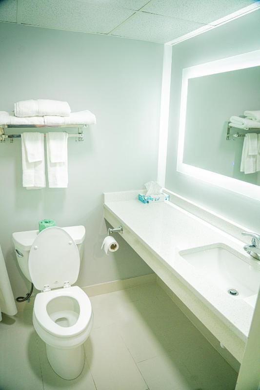 Deluxe King Room image 4