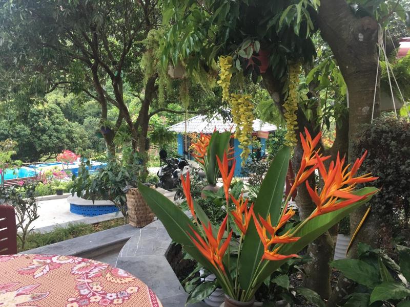 Catba Papillon Garden Bungalows & Resort - image 9