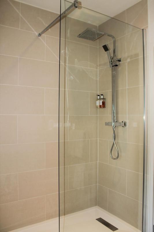 One-Bedroom Suite image 2