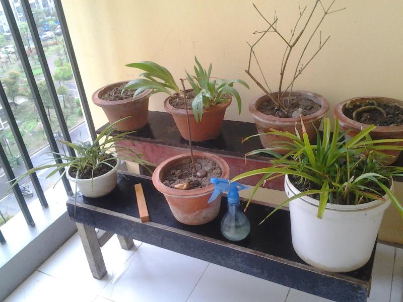 Makerhouse Hostel - image 18