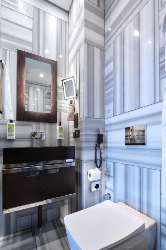 Junior King Suite with View image 4