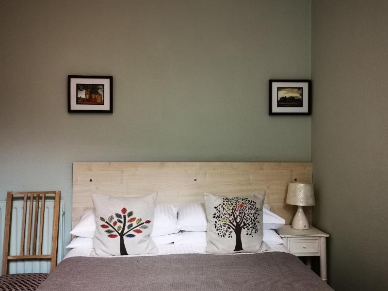 Large Single Room image 1