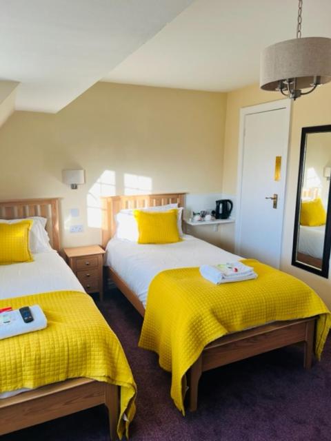 Twin Room image 1
