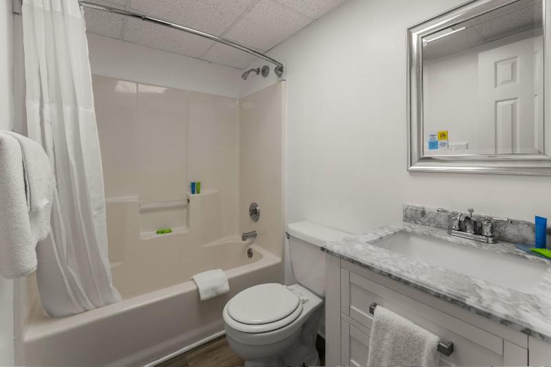 Deluxe Double Room with Extra Bed image 3