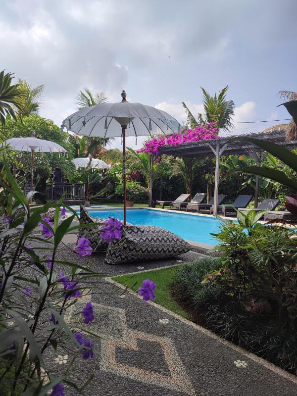 D Anyar Stay and Surf - image 10