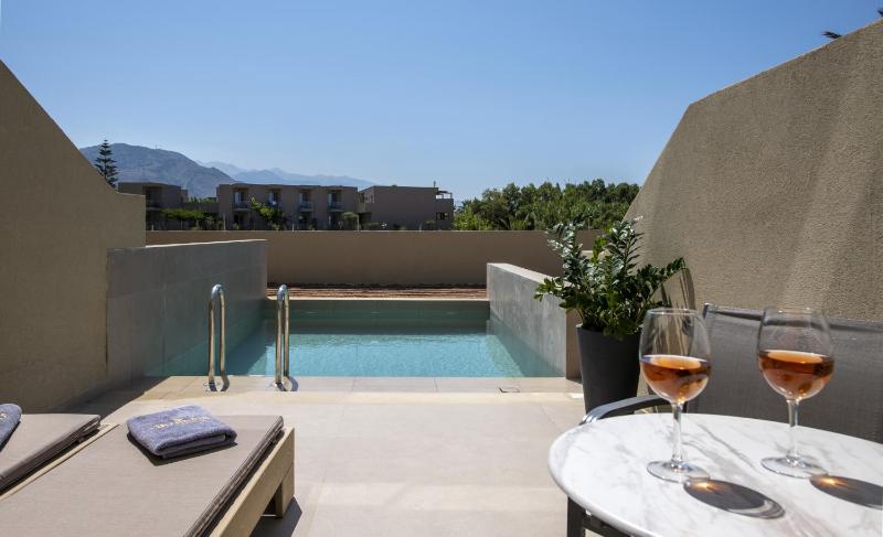 Junior suite with individual pool  image 1