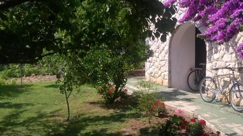 Guest House Neda - image 37