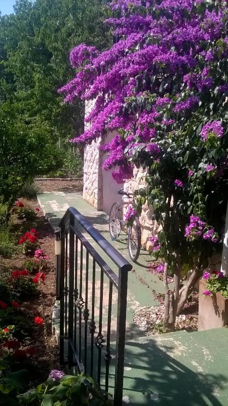 Guest House Neda - image 29