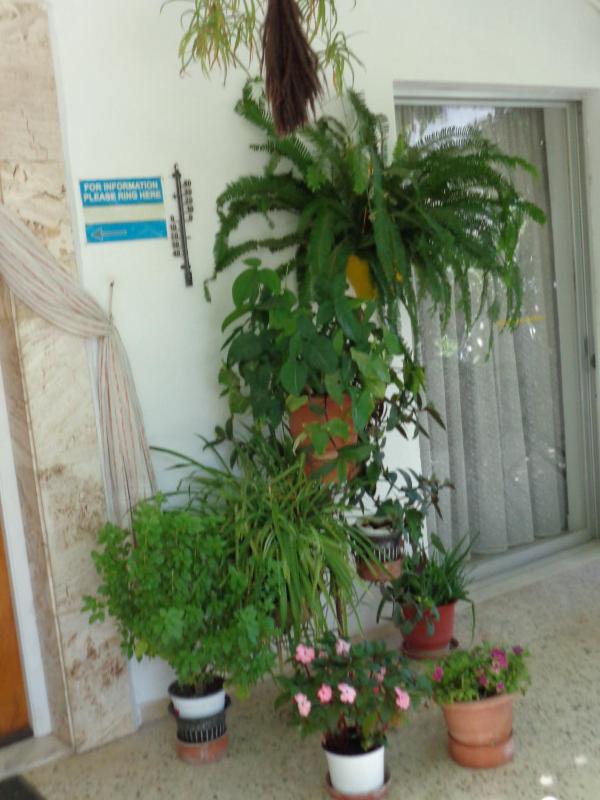 Standard Twin Room image 3
