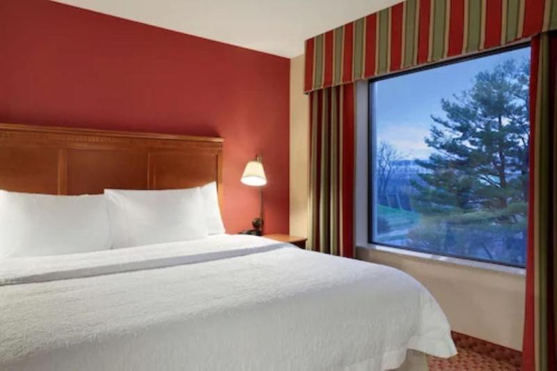 King Room with King Bed - Non-Smoking image 4