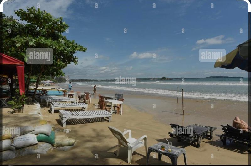 Calm Palace - image 2
