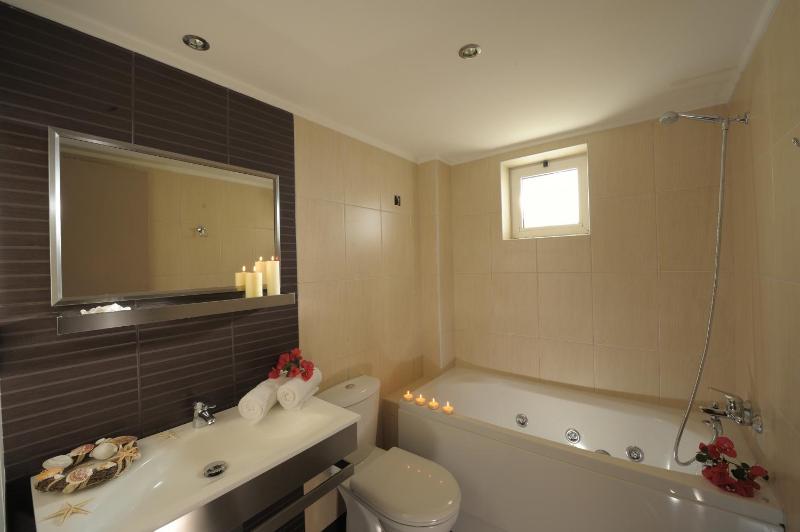 Standard One bedroom apartment image 4