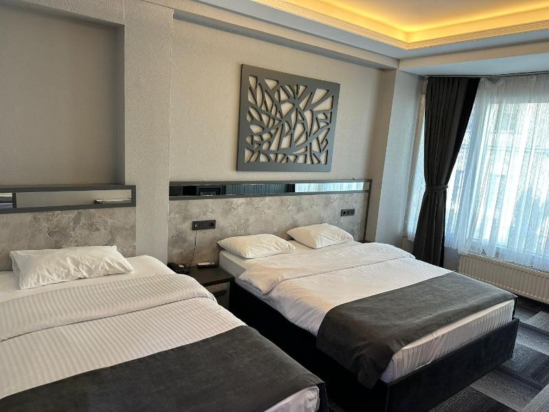 Double or Twin Room image 4