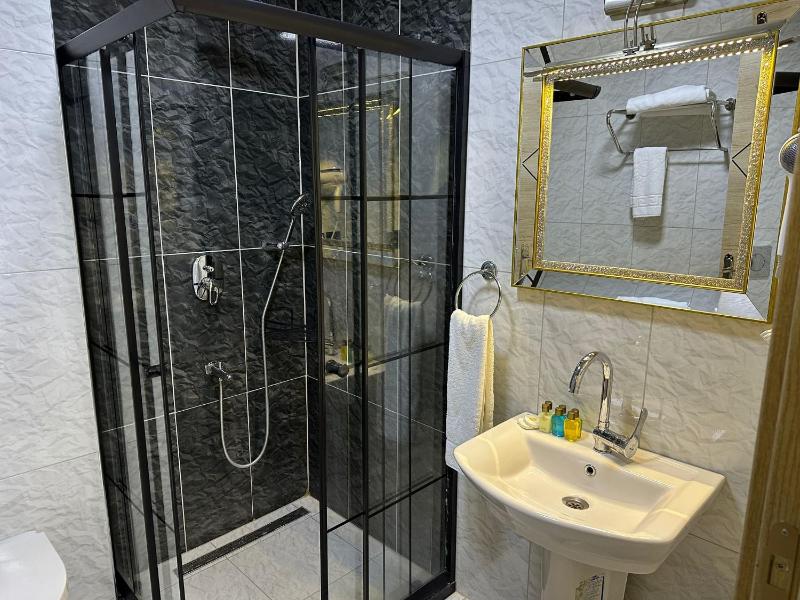 Business Single Room image 3