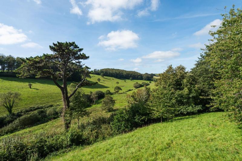 Little Oak - image 8