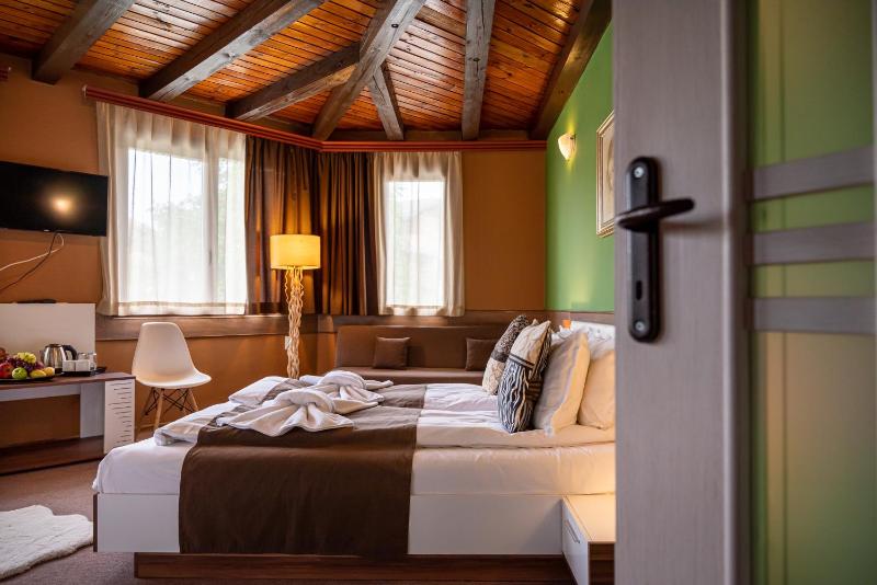 Superior Room  image 3